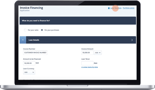 Invoice Financing Application – Pre-populated