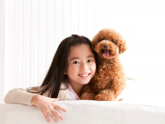 Pet Lovers Centre