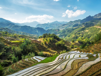 Imagine Vietnam