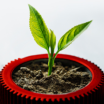 4 Ways for Serial Entrepreneurs to Go Green