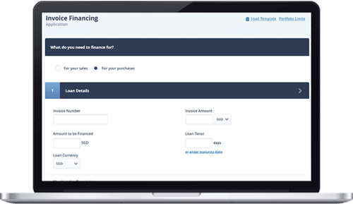 Invoice Financing (purchase) Application – Loan Details