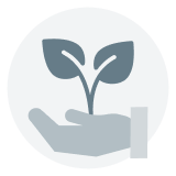 icon eco care