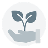 Sustainable Investing