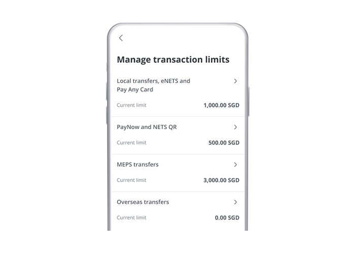 Screenshot of mobile screen where users can review current transaction limits