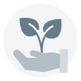 Additional coverage for green home repair costs