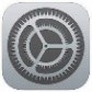 iOS Settings Icon