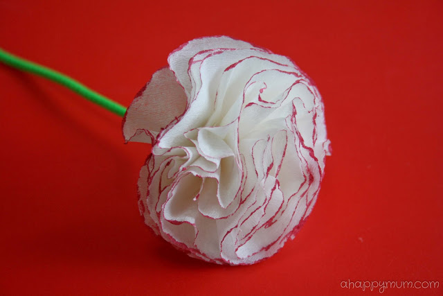 DIY Paper Carnations