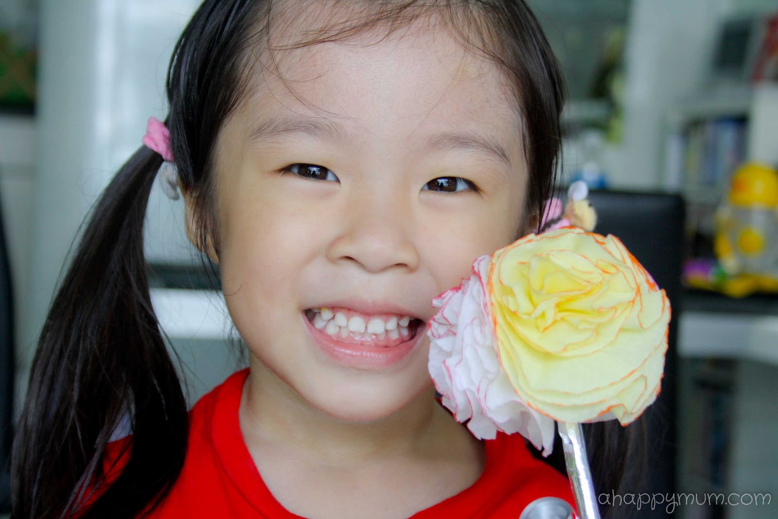 DIY Paper Carnations