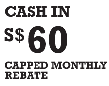 Capped Monthly Rebate