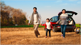 TravelWise